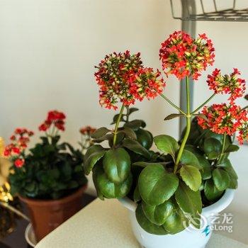 营口净初小住特色民宿(山海大道分店)酒店提供图片