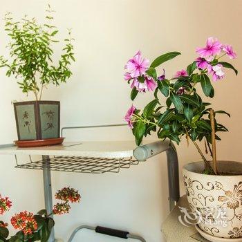 营口净初小住特色民宿(山海大道分店)酒店提供图片