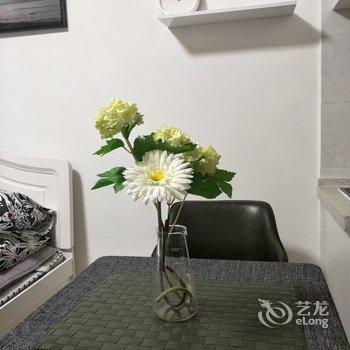 西安欢喜的家公寓(陕西省美术博物馆分店)酒店提供图片