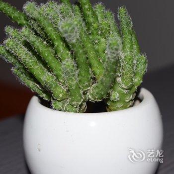 西安古城姑娘公寓(朱雀门分店)酒店提供图片