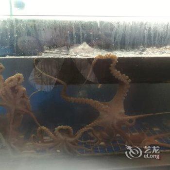 青岛宝儿公寓酒店提供图片