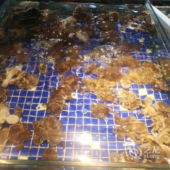 青岛宝儿公寓酒店提供图片