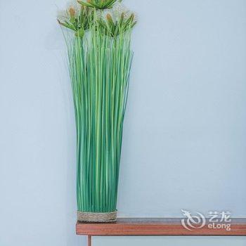 重庆马泽飞公寓(天主教若瑟堂分店)酒店提供图片