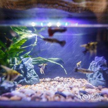 广州喧嚣中的一缕宁静公寓(长岗街分店)酒店提供图片