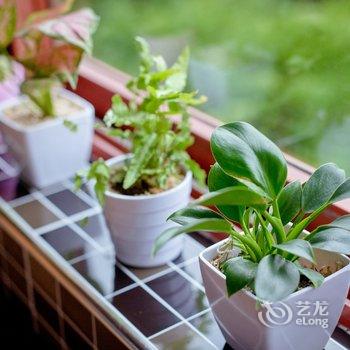 西安晚风捎信公寓酒店提供图片