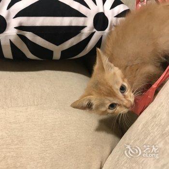 ����������ջ(�ɶ��Ÿ����õ�)�Ƶ��ṩͼƬ