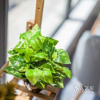 西安巢生活「花期」分店公寓酒店提供图片