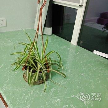 成都紫薇阁主公寓酒店提供图片