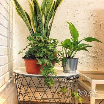 重庆joannakova公寓酒店提供图片