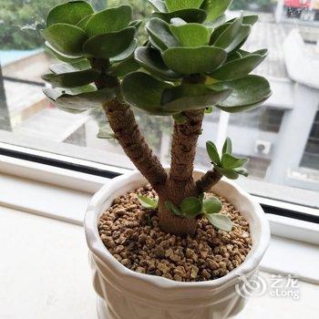 燕之家公寓(西安雁南一路店)酒店提供图片