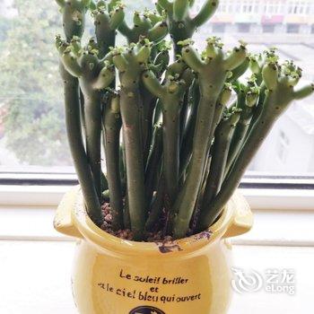 燕之家公寓(西安雁南一路店)酒店提供图片