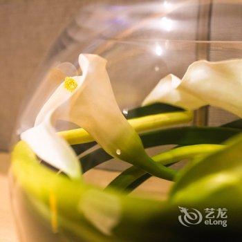 广州富力东山新天地公寓(杨箕村分店)酒店提供图片