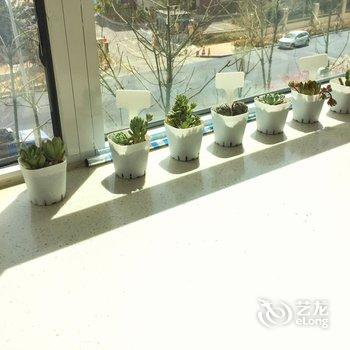 青岛薄荷的夏天公寓酒店提供图片