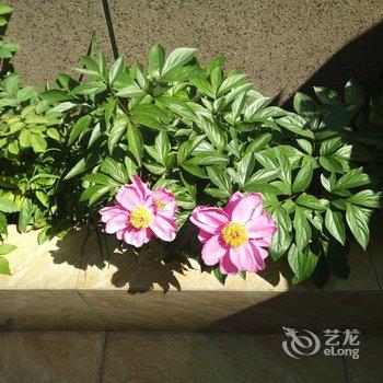 青岛weixiao特色民宿(赵家庙村分店)酒店提供图片