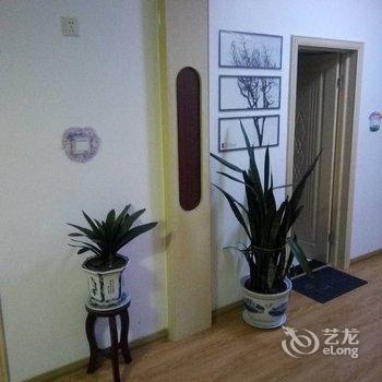 白山森系公寓酒店提供图片