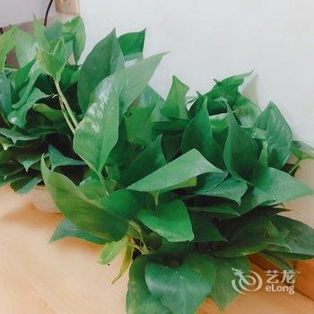 西安西安地主家的傻儿子公寓(永宁村分店)酒店提供图片