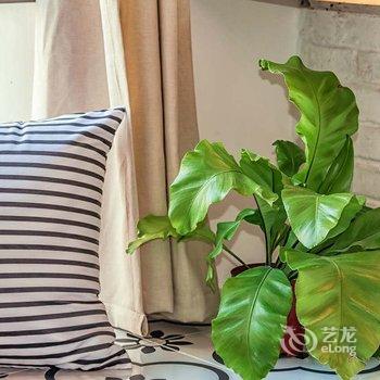 重庆老k的小乌龟公寓(佳园路分店)酒店提供图片