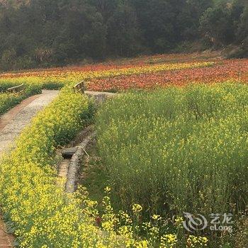 广州天乐客栈酒店提供图片