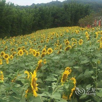 广州天乐客栈酒店提供图片