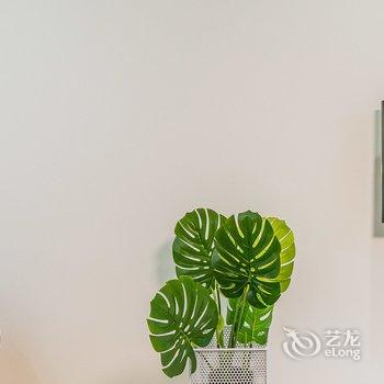 西安王钰磊(00147320)公寓(潘家村分店)酒店提供图片