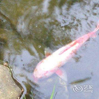 上海小栋庄园度假别墅酒店提供图片