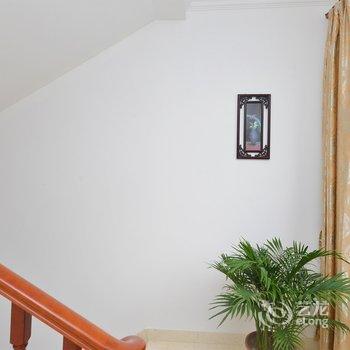 ��86����(�Ϻ���ͷ���)�Ƶ��ṩͼƬ