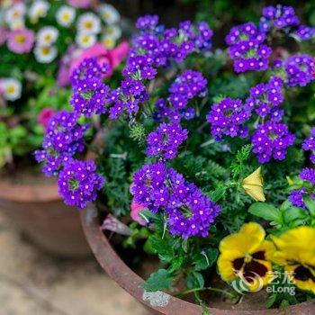 青岛路客AA2970精品民宿酒店提供图片