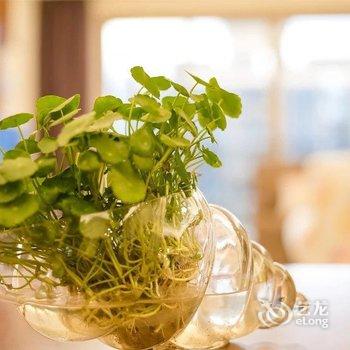 广州林深见鹿公寓酒店提供图片
