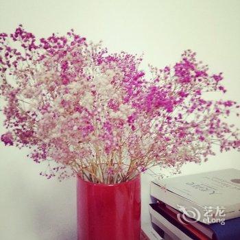 柠檬之家公寓(青岛浮山所路店)酒店提供图片