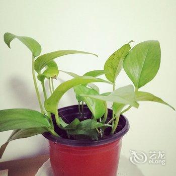 柠檬之家公寓(青岛浮山所路店)酒店提供图片