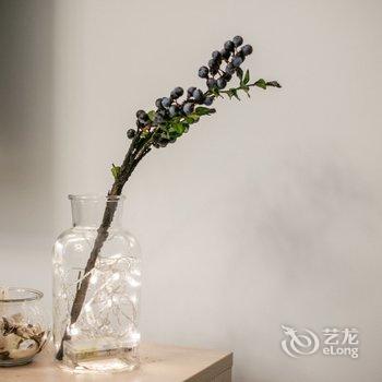 成都路客BD5460精品民宿酒店提供图片