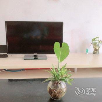 上海汪丽的家公寓(新龙路分店)酒店提供图片