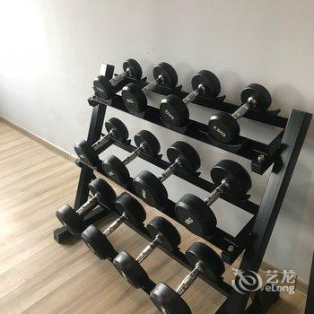 成都张黎公寓(全年红红木艺术馆分店)酒店提供图片