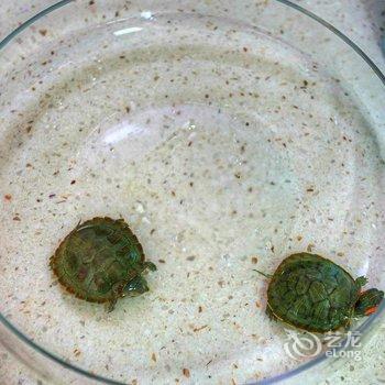 碎碎念公寓(西安冉家村店)酒店提供图片