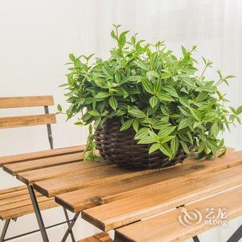 青岛Alexis(00114740)公寓(赞一美术馆分店)酒店提供图片