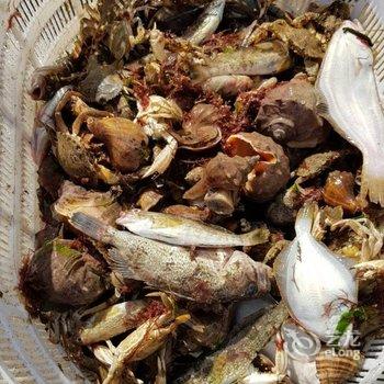 荣成东楮岛临海小筑特色民宿酒店提供图片