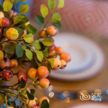 成都瓶子的小家公寓酒店提供图片