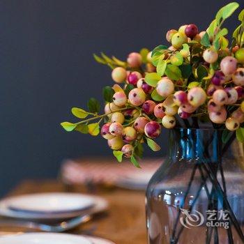成都瓶子的小家公寓酒店提供图片