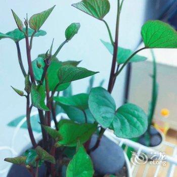 重庆Daojiale小屋(下土湾路分店)酒店提供图片