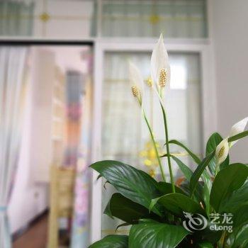重庆融舍公寓(太和村分店)酒店提供图片