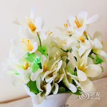 Jean李公寓(青岛儿童乐园店)酒店提供图片