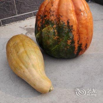 遥堡农家民宿(北京2号店)酒店提供图片