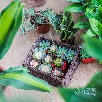 广州仙猪民宿(泡泡大战分店)酒店提供图片