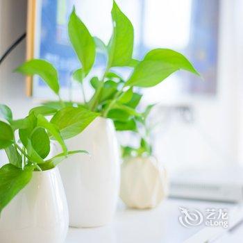 广州宿家精品公寓(海港一街分店)酒店提供图片