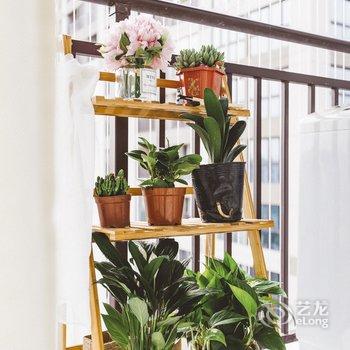 重庆Migo民宿酒店提供图片