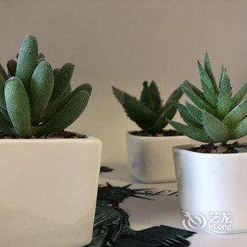 西安sihaiyu.公寓(陕西国际展览中心分店)酒店提供图片