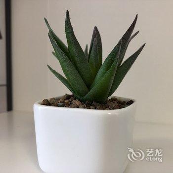 西安sihaiyu.公寓(陕西国际展览中心分店)酒店提供图片
