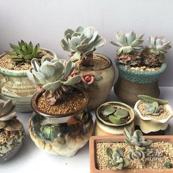 重庆重庆星雨公寓酒店提供图片