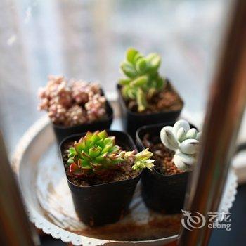 青岛海滨关居公寓酒店提供图片