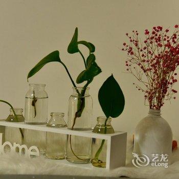 苌猛的苌普通公寓(西安体育馆南路店)酒店提供图片